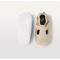 Xplorer Scout Woodash