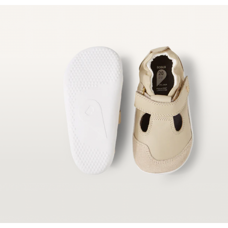 Xplorer Scout Woodash