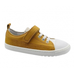 Ancla Ocre 25V