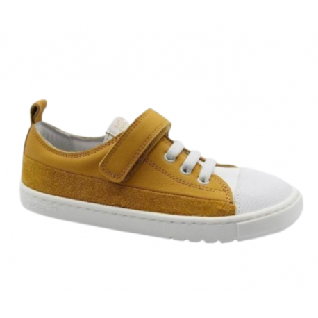 Ancla Ocre 25V