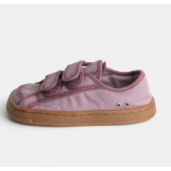 MORNA MORADO