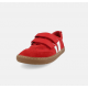 Delfin Rojo