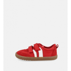 Delfin Rojo