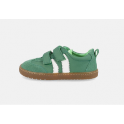 Delfin verde