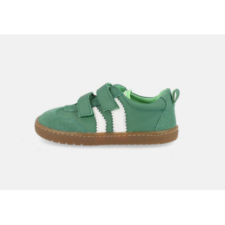 Delfin verde