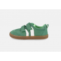 Delfin verde