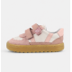 CAICOS Rosa
