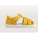 Tidal  yelow