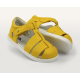Tidal  yelow